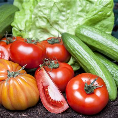 Von Artischocke bis Zucchini: alles für den Bauerngarten