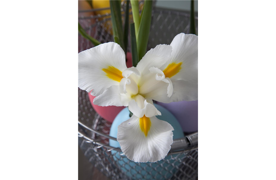 DIY-Tipp des Monats April 2020