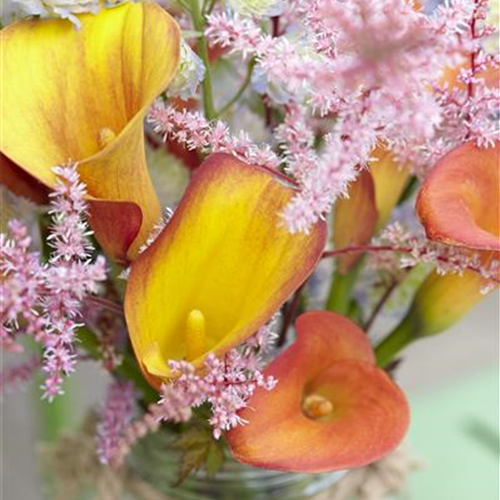 Lange Haltbarkeit für Blumensträuße