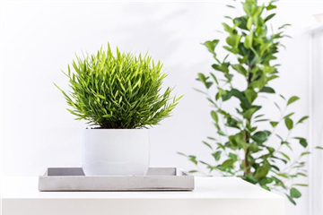 Auf Sauberkeit achten