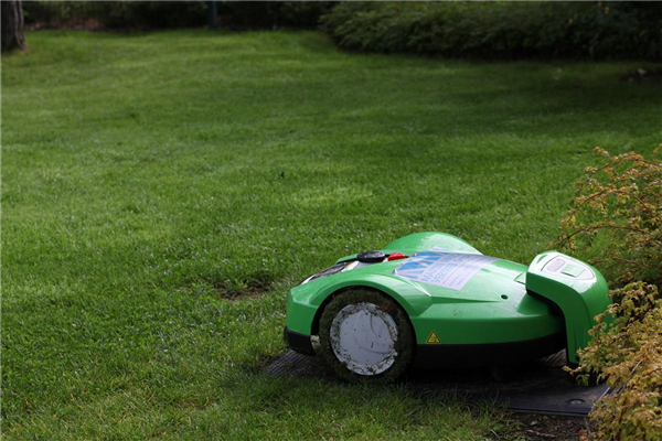 Rasenmäher