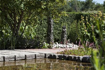 Der Wassergarten 