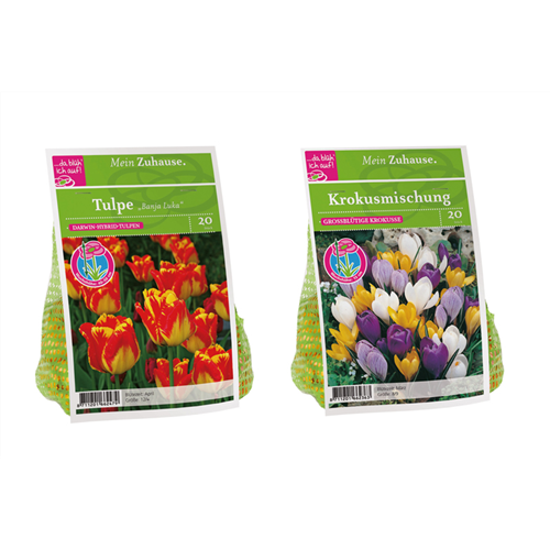Pflanz dir den Frühling