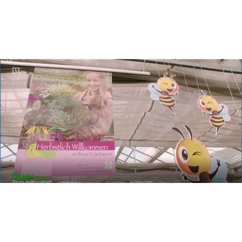 Queerbeet