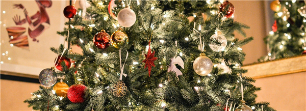 Gartenkalender Dezember 2026