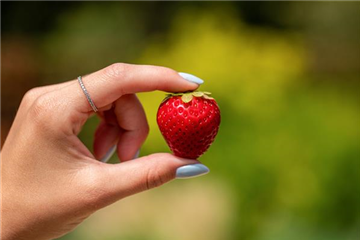 Erdbeeren schneiden