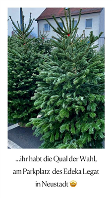 Christbaum Verkauf