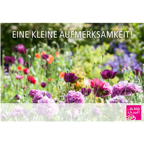 Online Gutschein