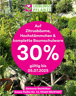 30% auf Zitrusbäume, Hochstämmchen & komplette Baumschulware🍋🌳🌸