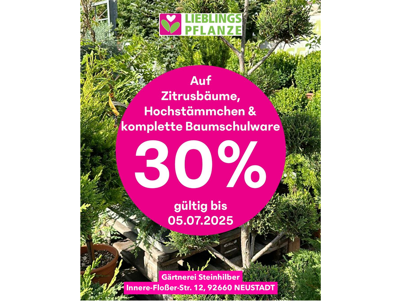 30% auf Zitrusbäume, Hochstämmchen & komplette Baumschulware🍋🌳🌸