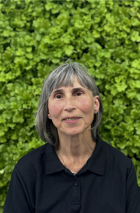 Margit (Verkauf)