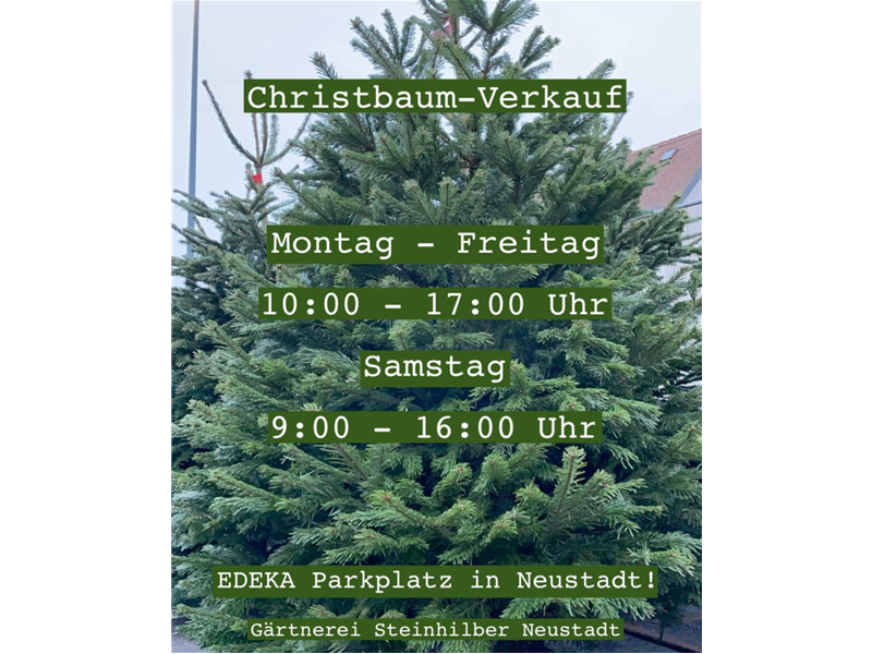 Christbaum Verkauf 🎄