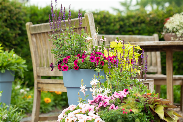 Tag der offenen Gärtnerei🌸✨