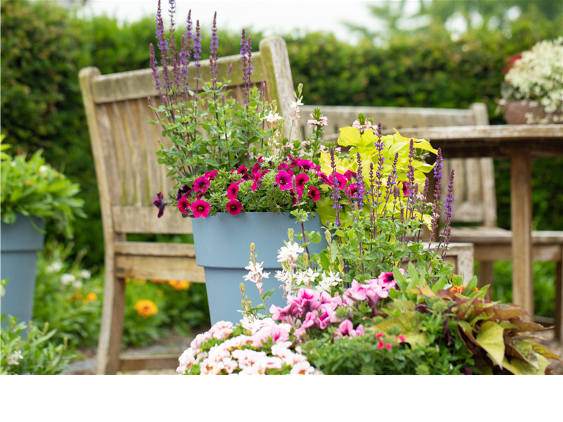 Tag der offenen Gärtnerei🌸✨