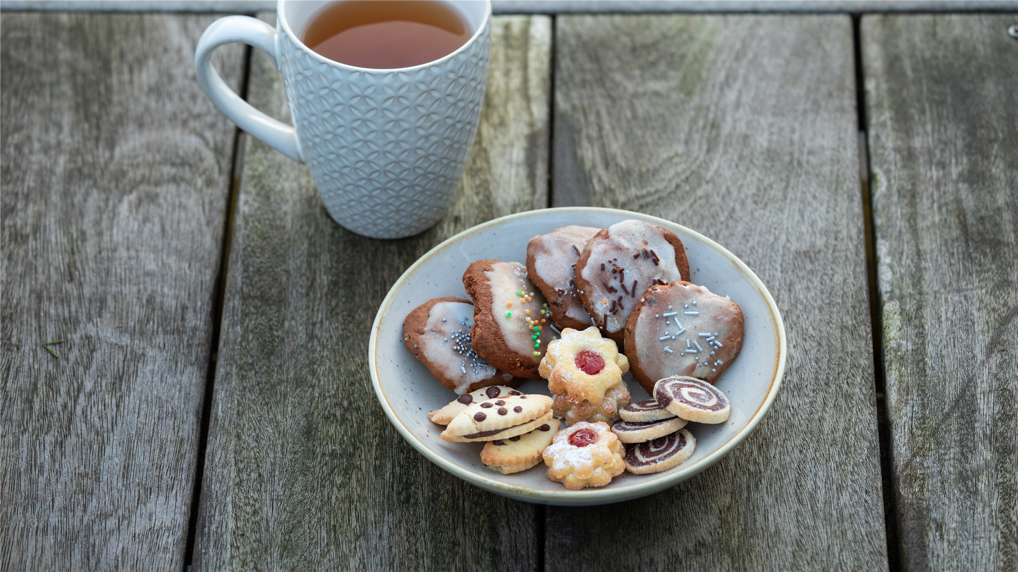 Café im Grünen - Kaffee & Kuchen in unserer Gärtnerei - Gärtnerei Steinhilber - da blüh ich auf
