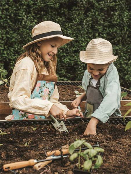 Hochbeet - Kinderleicht Gärtnern!